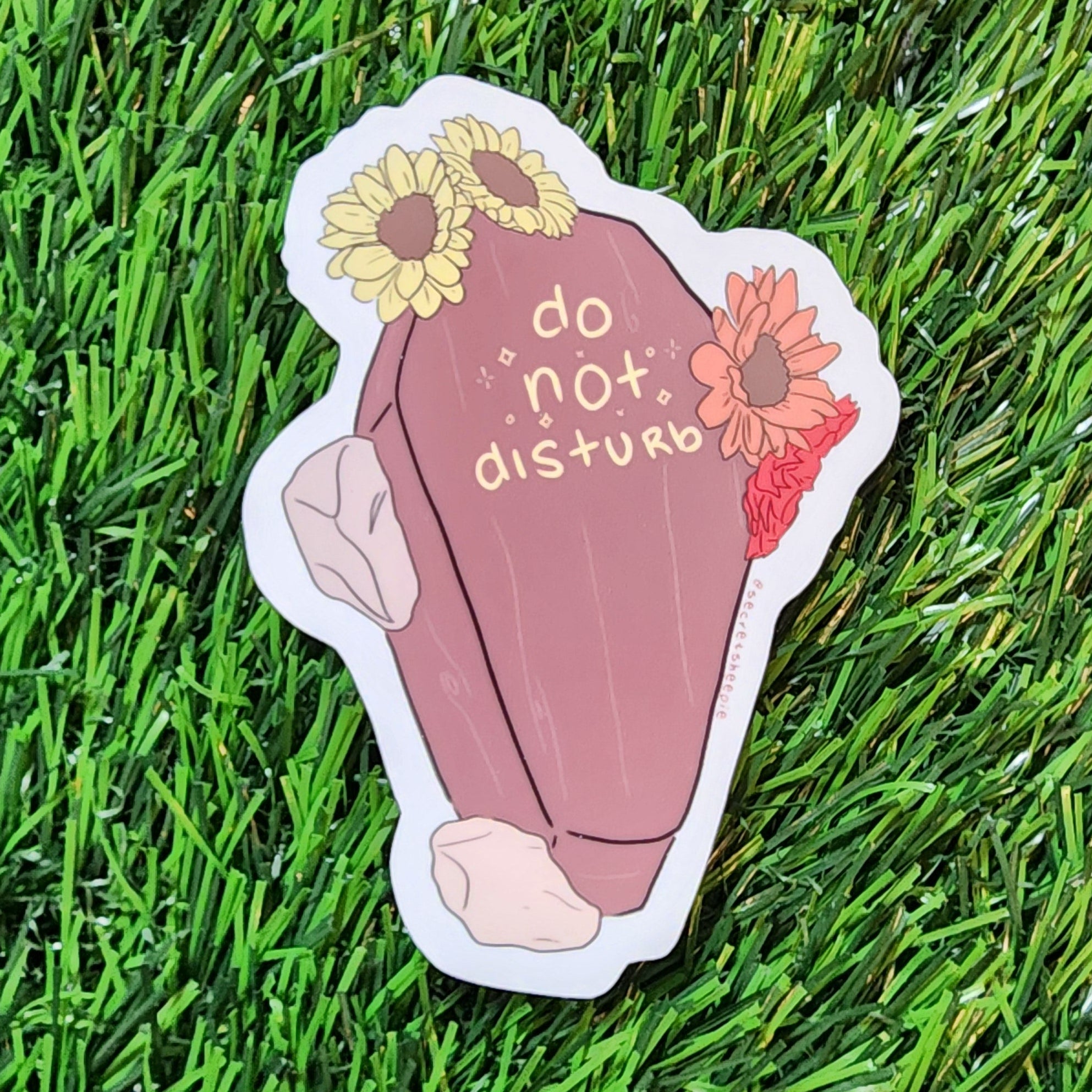 Do Not Disturb Coffin