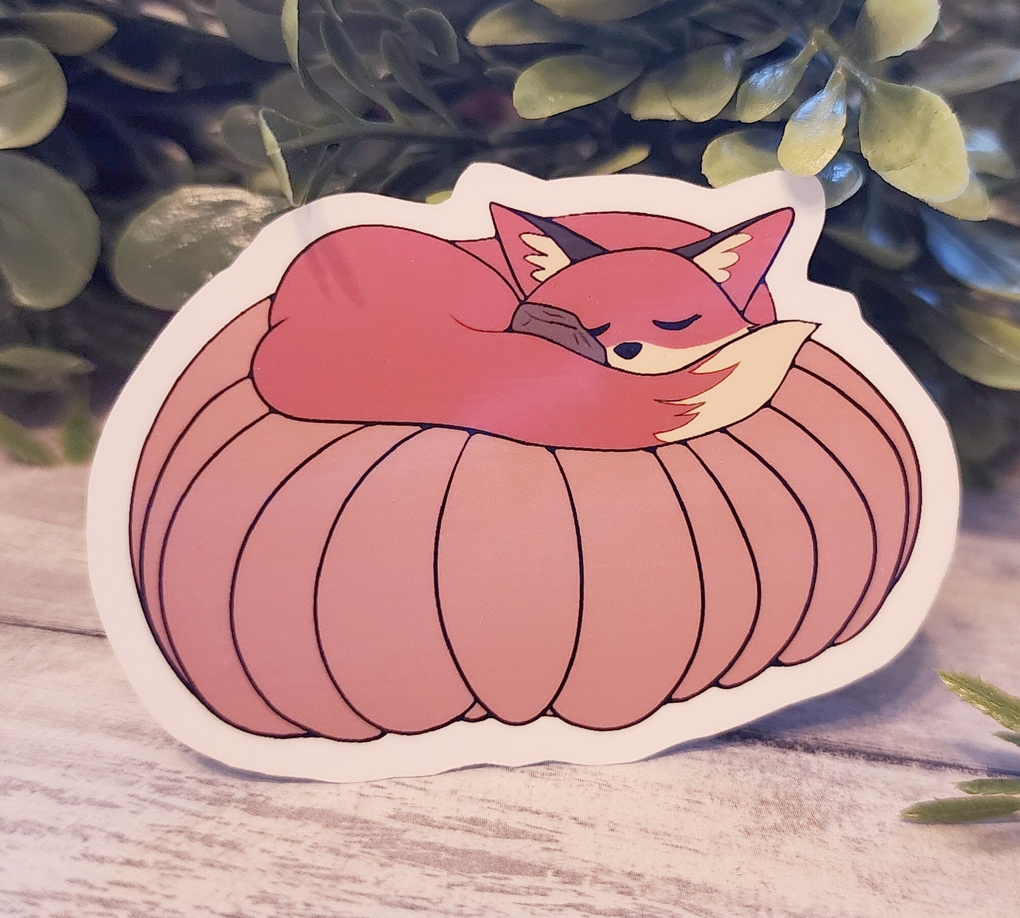 Fox on a Pumpkin