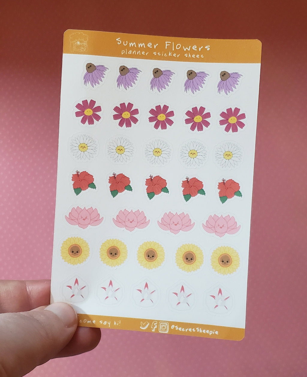 Cute Sticker Mystery Pack – B Grade Stickers with Retired, Miscut & Misprinted Designs