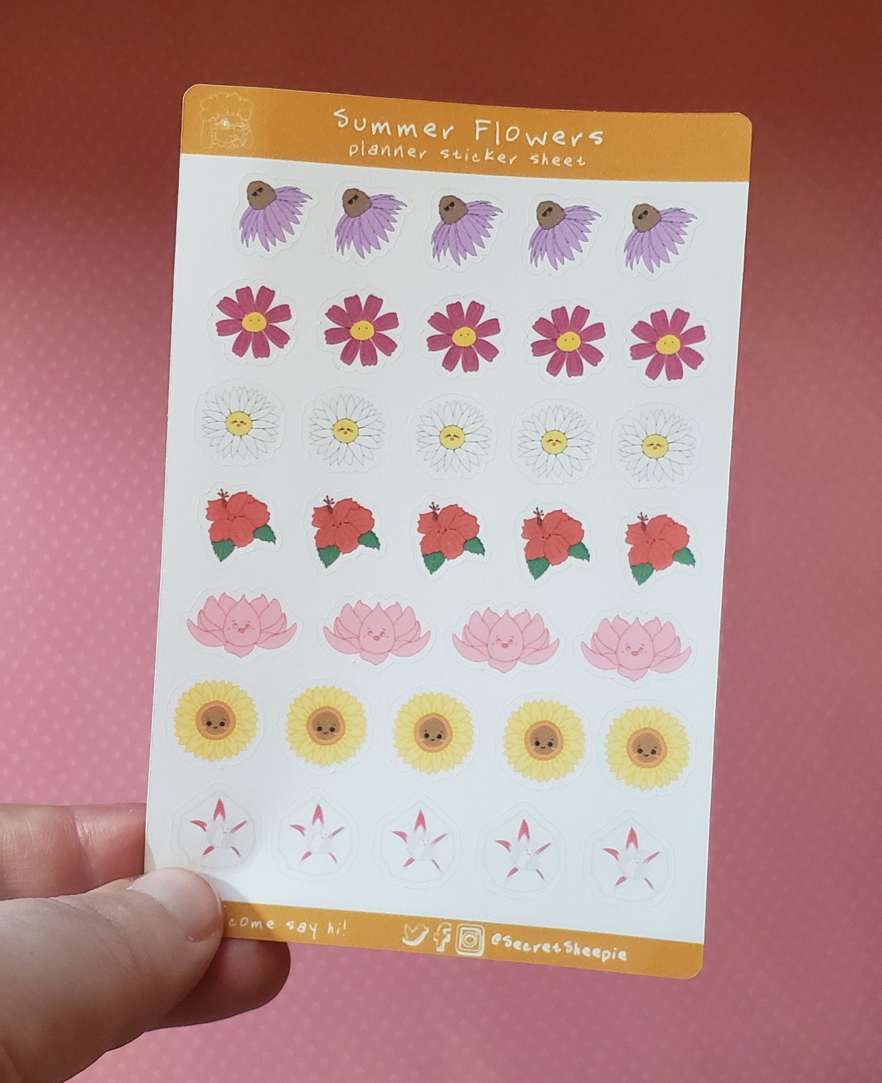 Cute Sticker Mystery Pack – B Grade Stickers with Retired, Miscut & Misprinted Designs