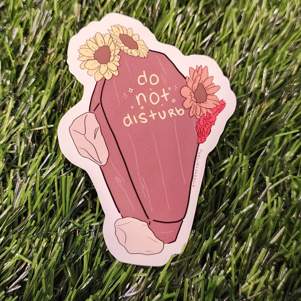Do Not Disturb Coffin